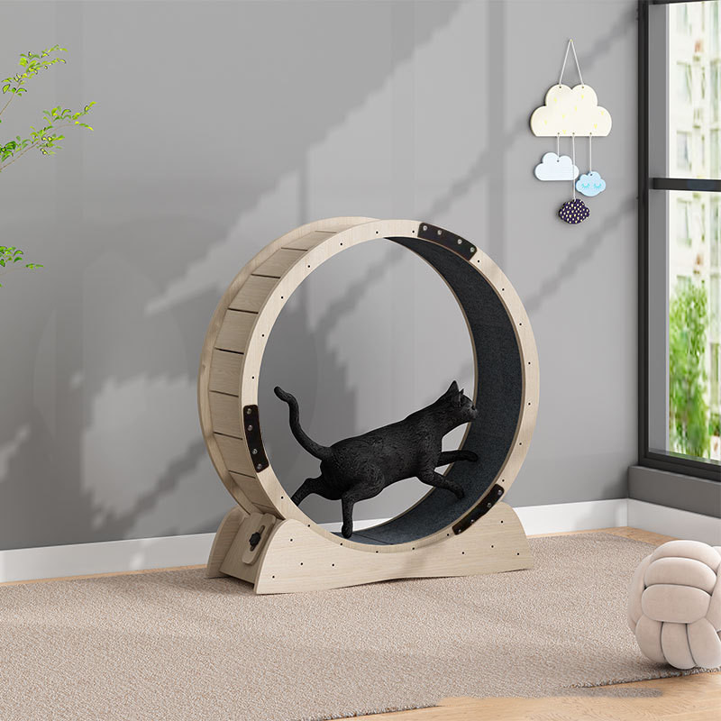 Silent Cat Fitness Roller