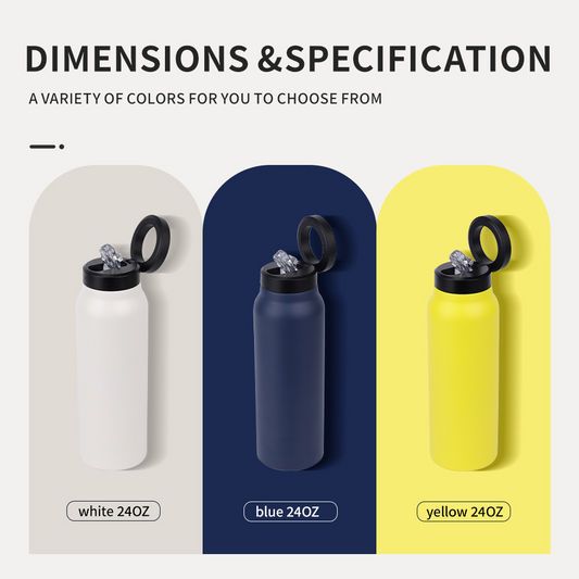 SnapLid Stainless Bottle