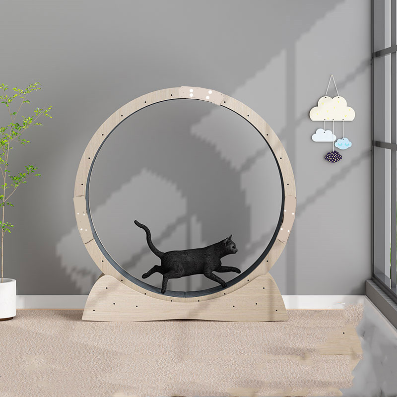 Silent Cat Fitness Roller